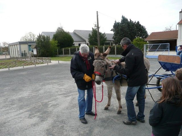 Neuvy mars 2012 (13).jpg